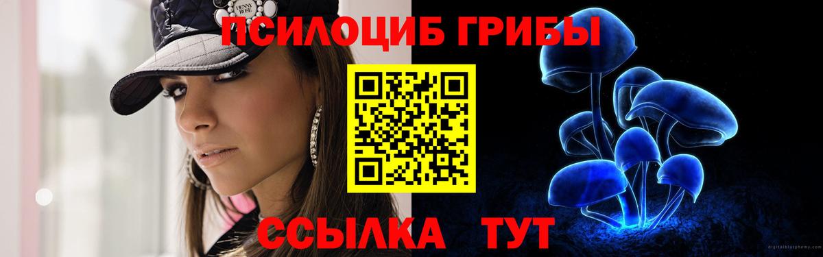 Псилоцибиновые грибы Psilocybe  Вход с VPN  цены наркотик  Каменск-Уральский 
